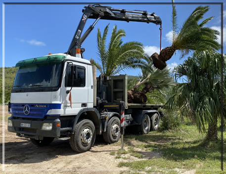 location de camion plateau sur saint-martin.